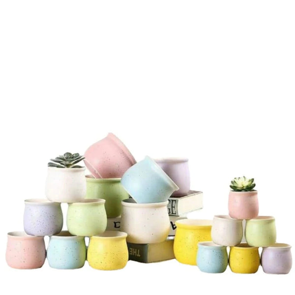 Ceramic Pots / Planters - Macaron B
